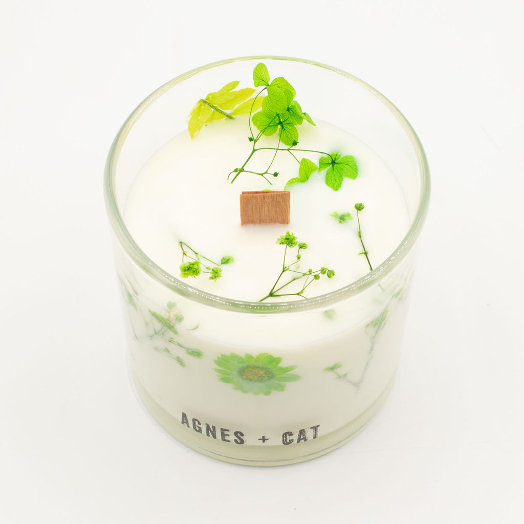 Vela botanica de soja · Fellberry Agnes + cat
