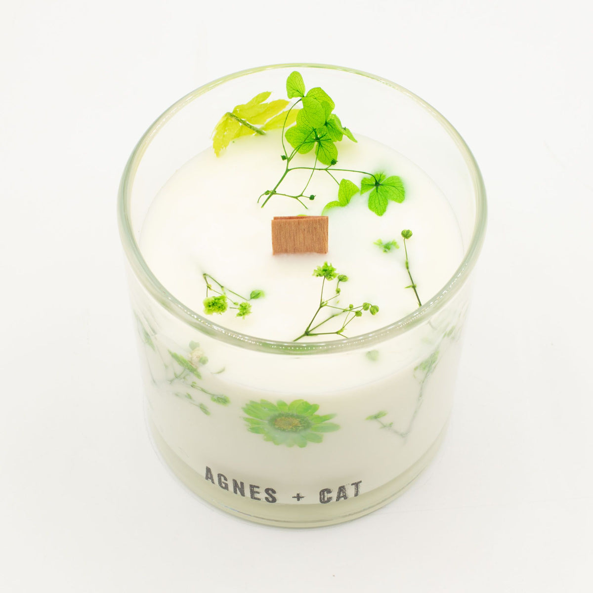 Vela botanica de soja · Fellberry Agnes + cat