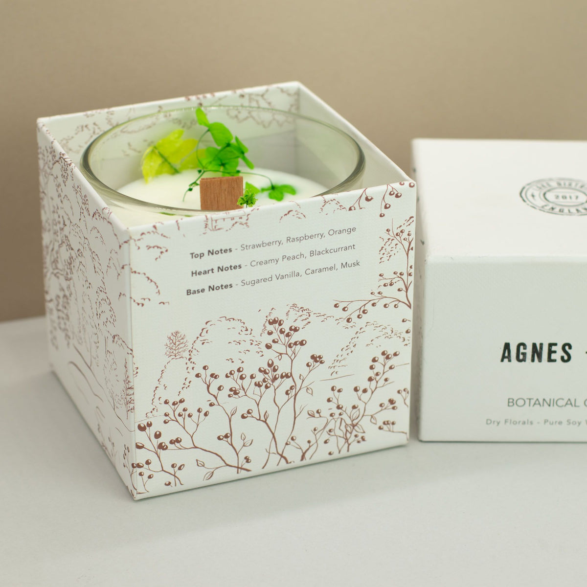 Vela botanica de soja · Fellberry Agnes + cat