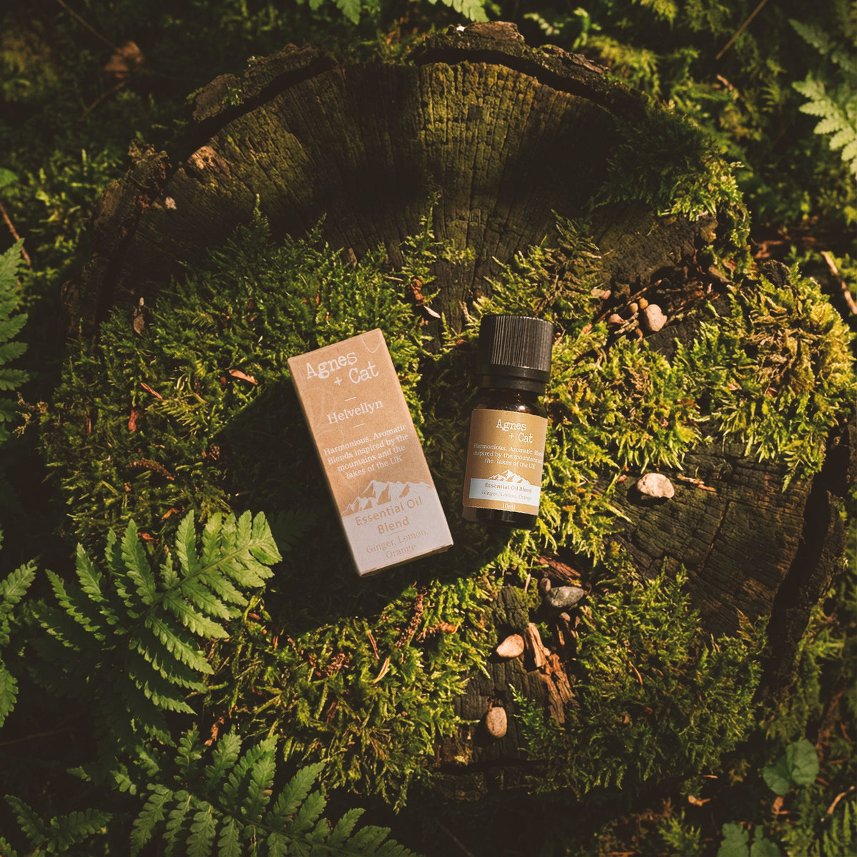 Mezcla de Aceites Esenciales - Windermere - Limón, Árbol del té y Menta