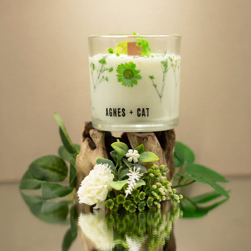 Vela botanica de soja · Fellberry Agnes + cat