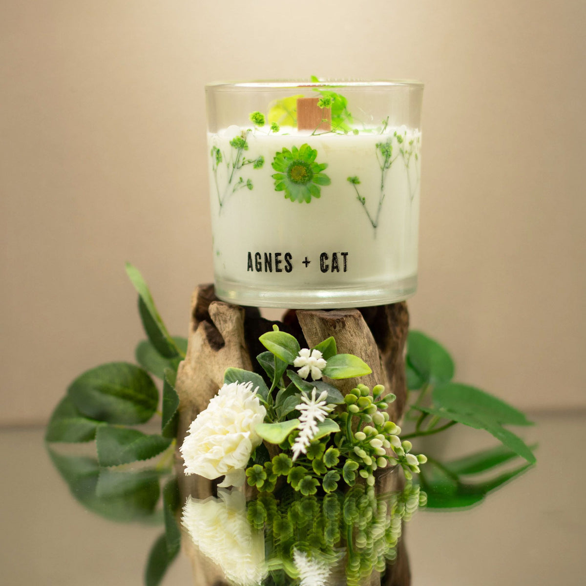 Vela botanica de soja · Fellberry Agnes + cat